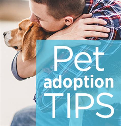 What Do I Need to Know Before Adopting .